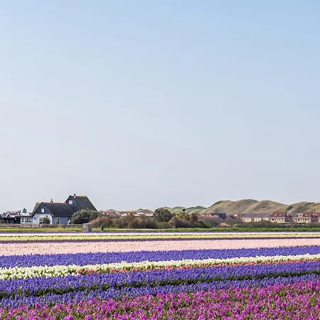 De Strandloper - Aan Zee